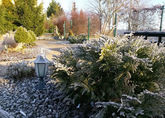 Osrodek Rehabilitacyjno - Wypoczynkowy Wielspin * Wągrowiec